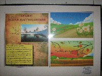 �����������